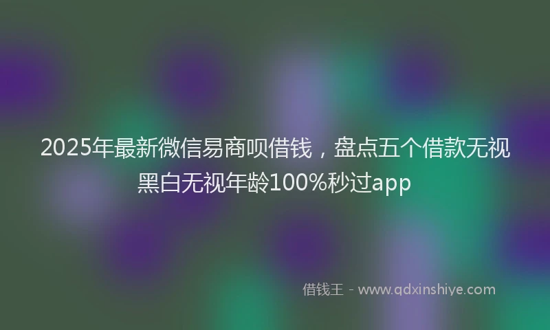 2025年最新微信易商呗借钱，盘点五个借款无视黑白无视年龄100%秒过app