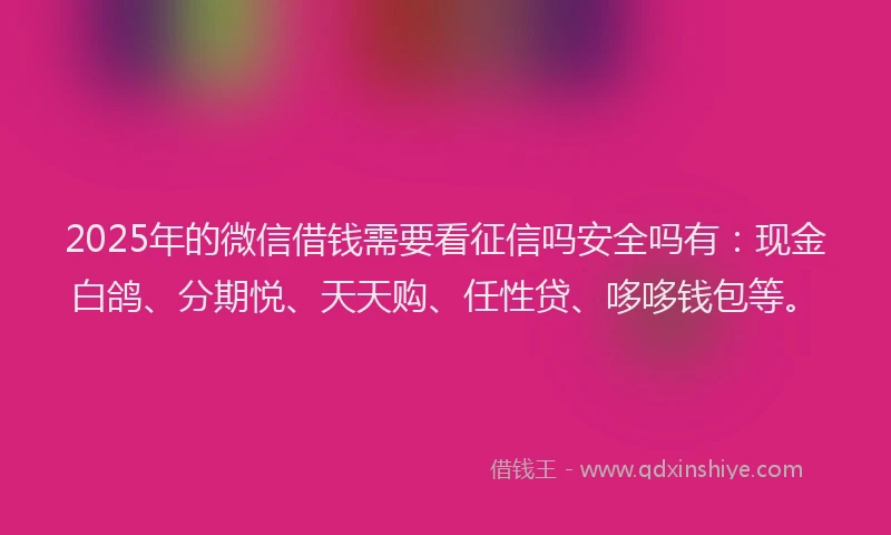 2025年的微信借钱需要看征信吗安全吗有：现金白鸽、分期悦、天天购、任性贷、哆哆钱包等。