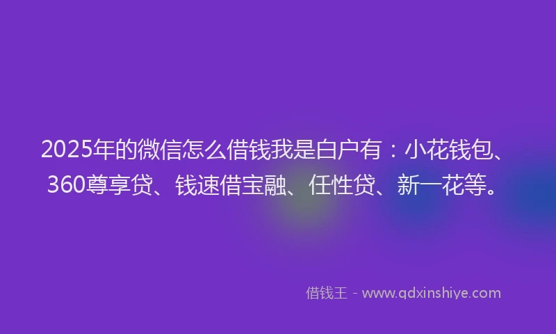 2025年的微信怎么借钱我是白户有：小花钱包、360尊享贷、钱速借宝融、任性贷、新一花等。