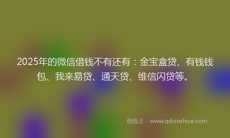 2025年的微信借钱不有还有：金宝盒贷、有钱钱包、我来易贷、通天贷、维信闪贷等。