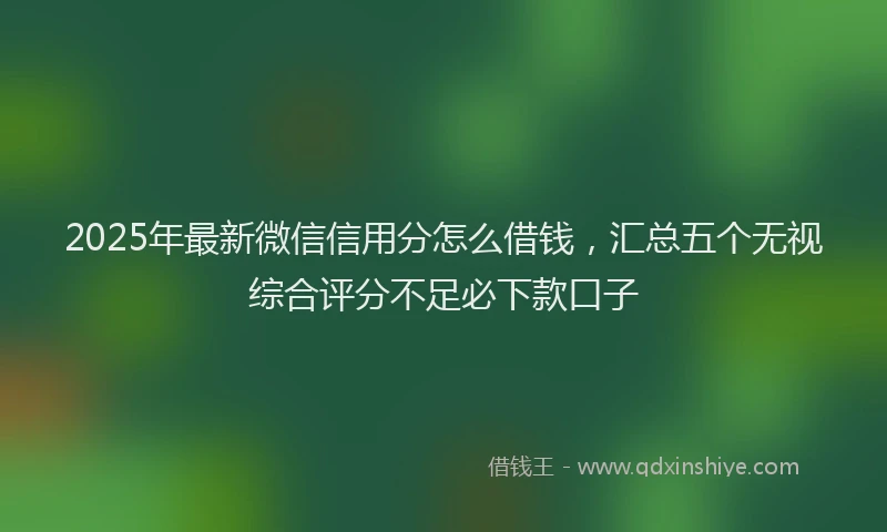 2025年最新微信信用分怎么借钱，汇总五个无视综合评分不足必下款口子