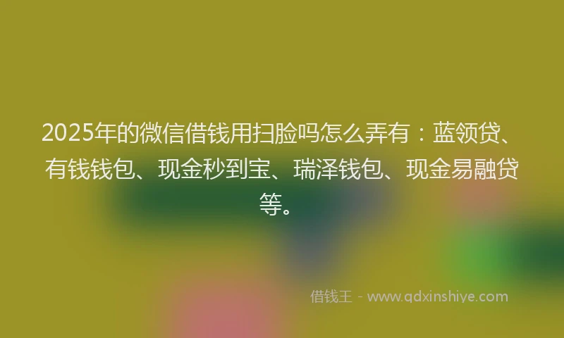 2025年的微信借钱用扫脸吗怎么弄有：蓝领贷、有钱钱包、现金秒到宝、瑞泽钱包、现金易融贷等。