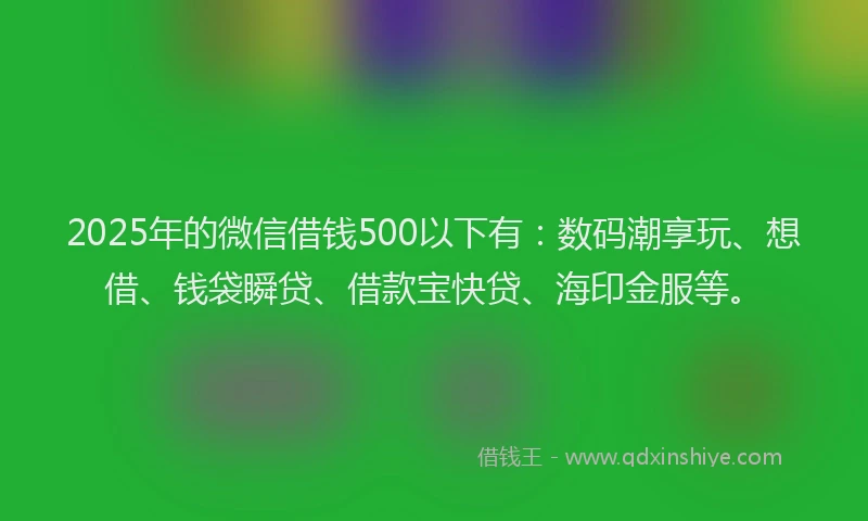 2025年的微信借钱500以下有：数码潮享玩、想借、钱袋瞬贷、借款宝快贷、海印金服等。