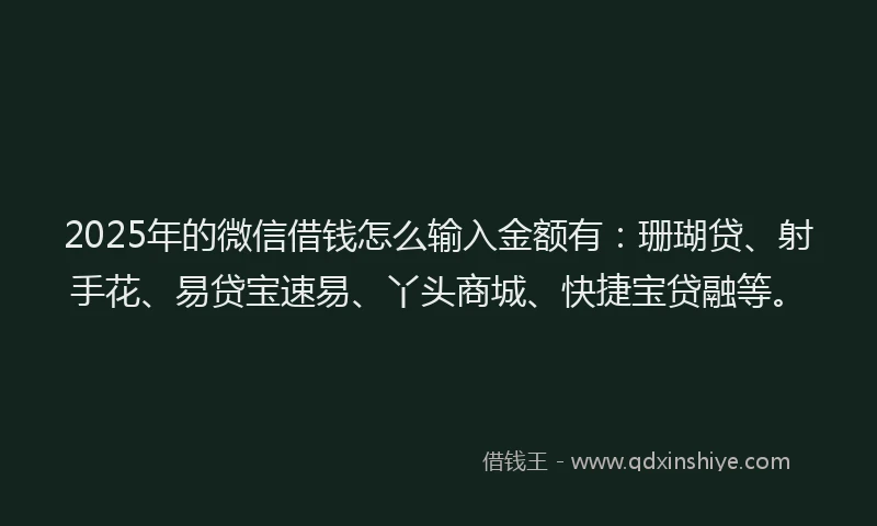 2025年的微信借钱怎么输入金额有：珊瑚贷、射手花、易贷宝速易、丫头商城、快捷宝贷融等。