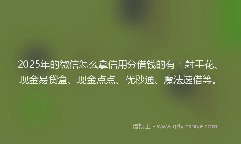 2025年的微信怎么拿信用分借钱的有：射手花、现金易贷盒、现金点点、优秒通、魔法速借等。