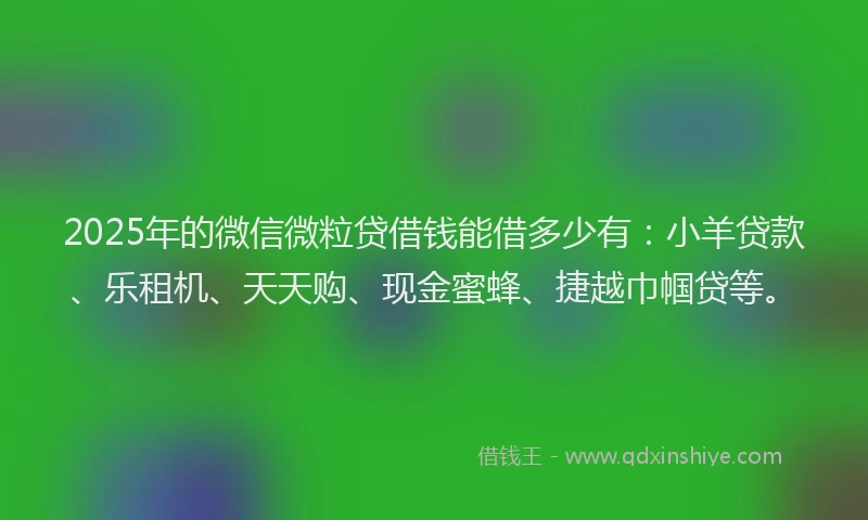2025年的微信微粒贷借钱能借多少有：小羊贷款、乐租机、天天购、现金蜜蜂、捷越巾帼贷等。