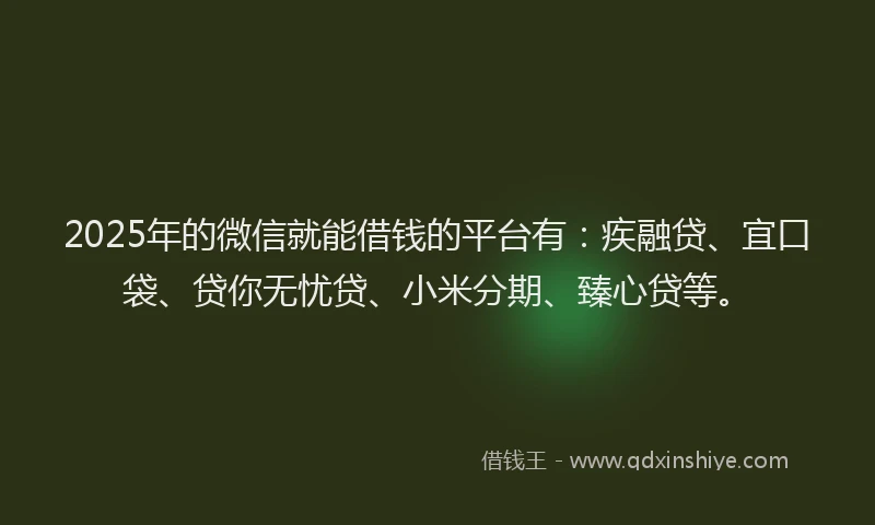 2025年的微信就能借钱的平台有：疾融贷、宜口袋、贷你无忧贷、小米分期、臻心贷等。