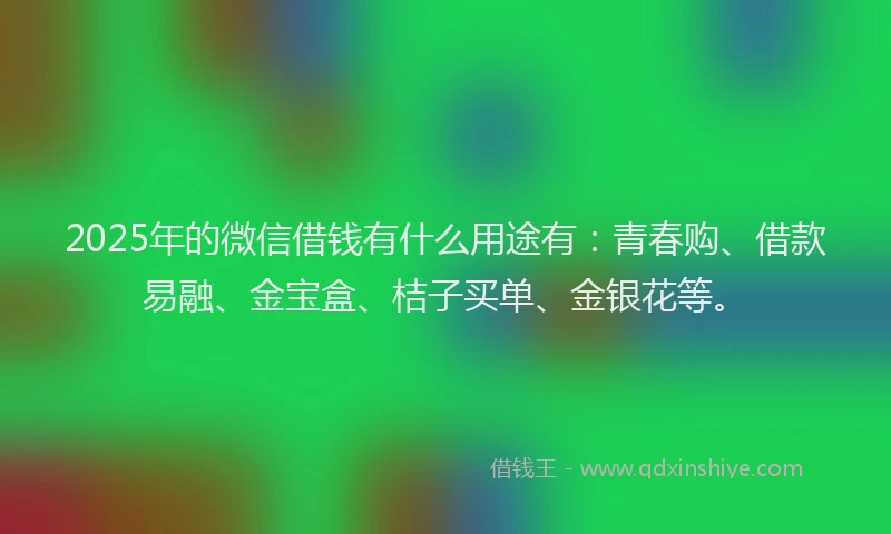 2025年的微信借钱有什么用途有：青春购、借款易融、金宝盒、桔子买单、金银花等。
