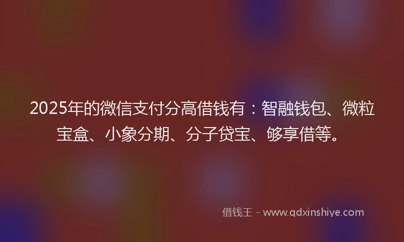 2025年的微信支付分高借钱有：智融钱包、微粒宝盒、小象分期、分子贷宝、够享借等。