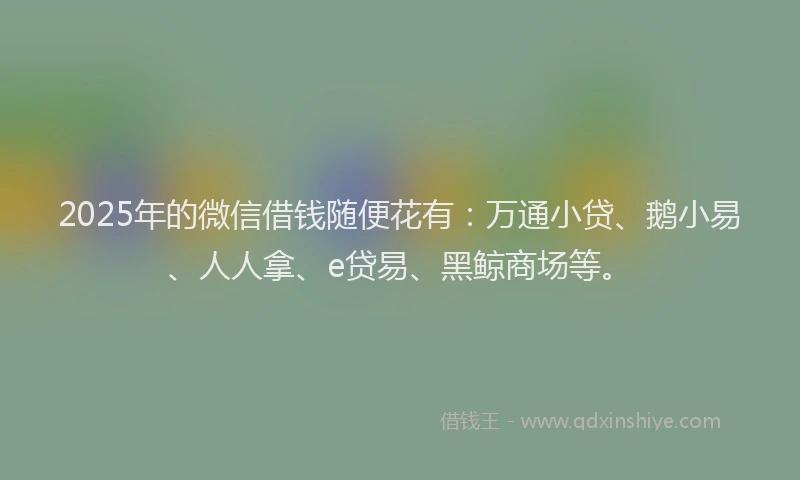 2025年的微信借钱随便花有：万通小贷、鹅小易、人人拿、e贷易、黑鲸商场等。
