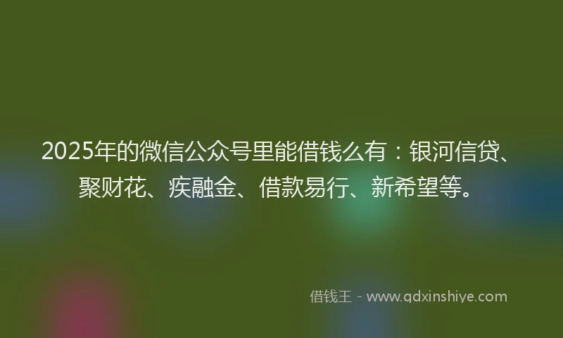 2025年的微信公众号里能借钱么有：银河信贷、聚财花、疾融金、借款易行、新希望等。