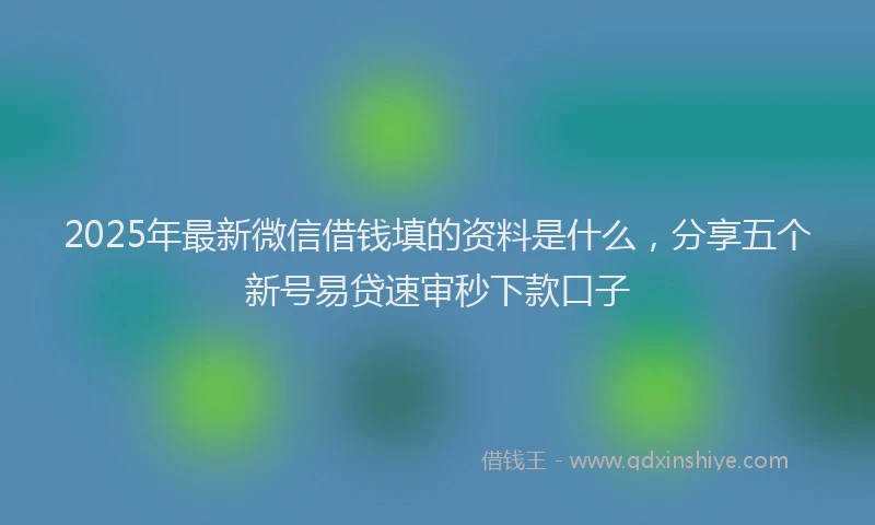 2025年最新微信借钱填的资料是什么，分享五个新号易贷速审秒下款口子