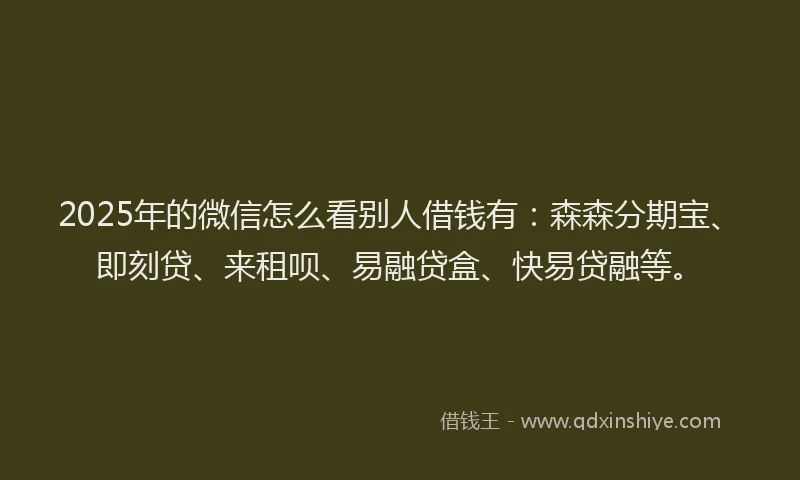2025年的微信怎么看别人借钱有：森森分期宝、即刻贷、来租呗、易融贷盒、快易贷融等。