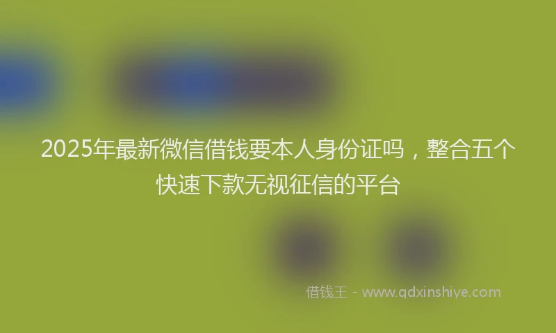 2025年最新微信借钱要本人身份证吗，整合五个快速下款无视征信的平台