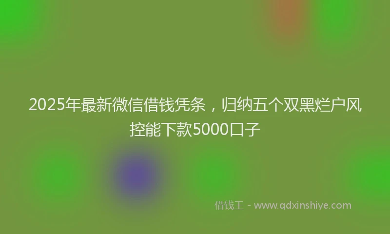2025年最新微信借钱凭条，归纳五个双黑烂户风控能下款5000口子