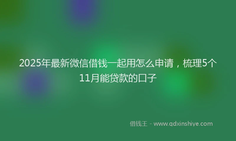 2025年最新微信借钱一起用怎么申请，梳理5个11月能贷款的口子