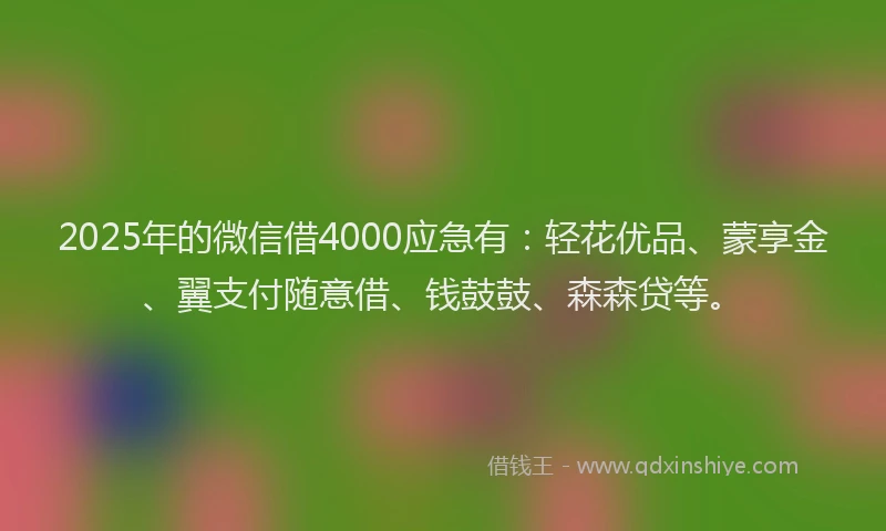 2025年的微信借4000应急有：轻花优品、蒙享金、翼支付随意借、钱鼓鼓、森森贷等。