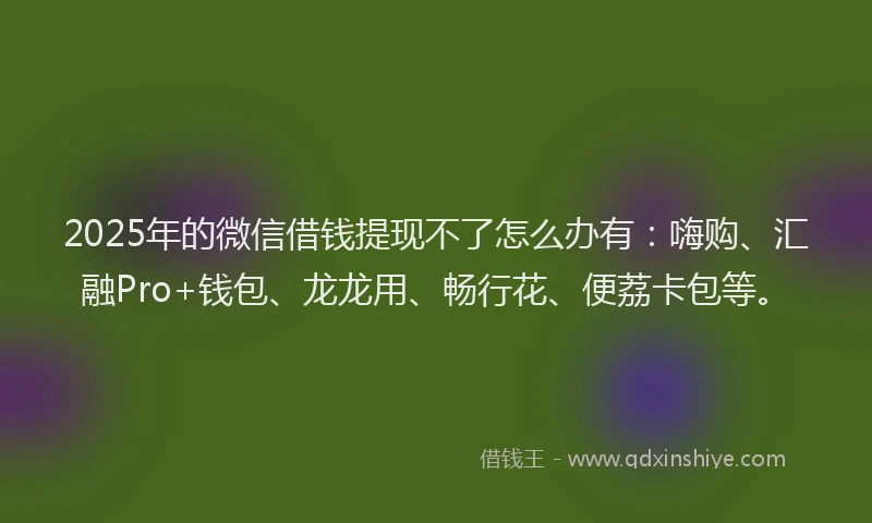 2025年的微信借钱提现不了怎么办有：嗨购、汇融Pro+钱包、龙龙用、畅行花、便荔卡包等。