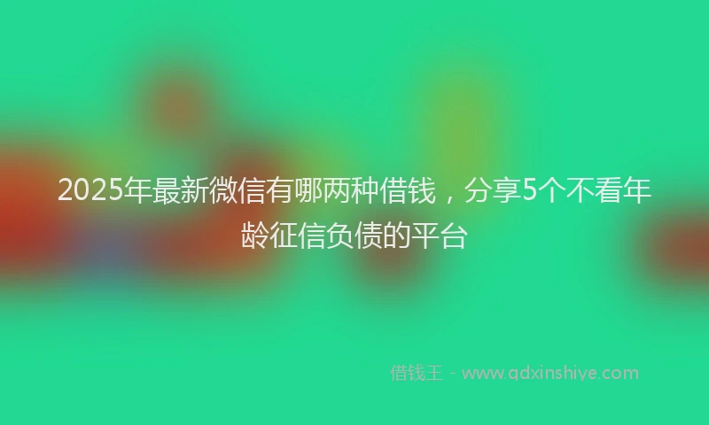 2025年最新微信有哪两种借钱，分享5个不看年龄征信负债的平台