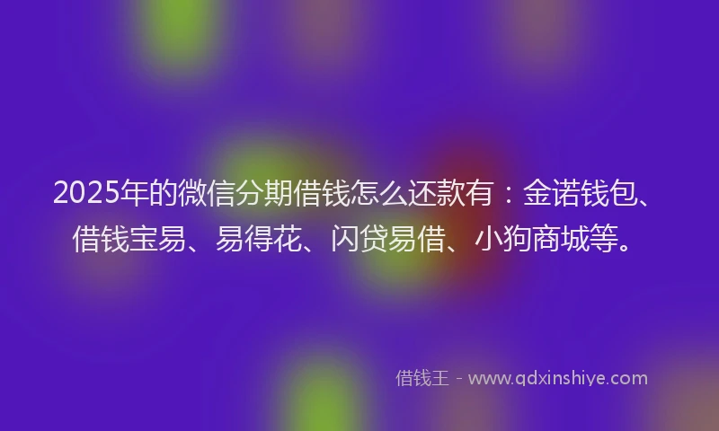 2025年的微信分期借钱怎么还款有：金诺钱包、借钱宝易、易得花、闪贷易借、小狗商城等。