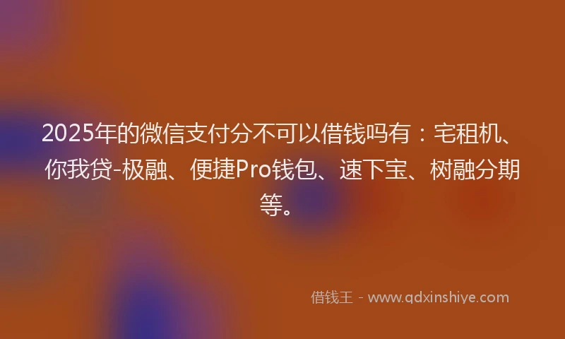 2025年的微信支付分不可以借钱吗有：宅租机、你我贷-极融、便捷Pro钱包、速下宝、树融分期等。