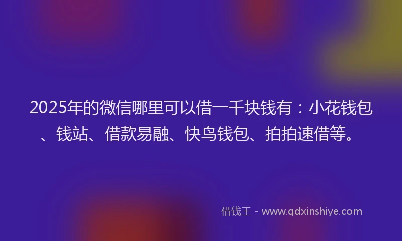 2025年的微信哪里可以借一千块钱有：小花钱包、钱站、借款易融、快鸟钱包、拍拍速借等。