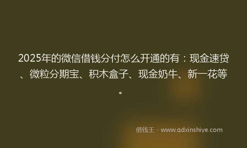 2025年的微信借钱分付怎么开通的有：现金速贷、微粒分期宝、积木盒子、现金奶牛、新一花等。