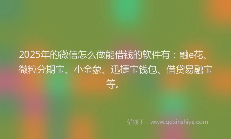 2025年的微信怎么做能借钱的软件有：融e花、微粒分期宝、小金象、迅捷宝钱包、借贷易融宝等。