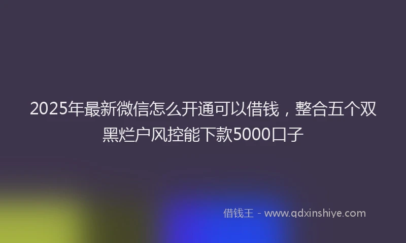 2025年最新微信怎么开通可以借钱，整合五个双黑烂户风控能下款5000口子