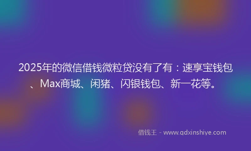2025年的微信借钱微粒贷没有了有：速享宝钱包、Max商城、闲猪、闪银钱包、新一花等。
