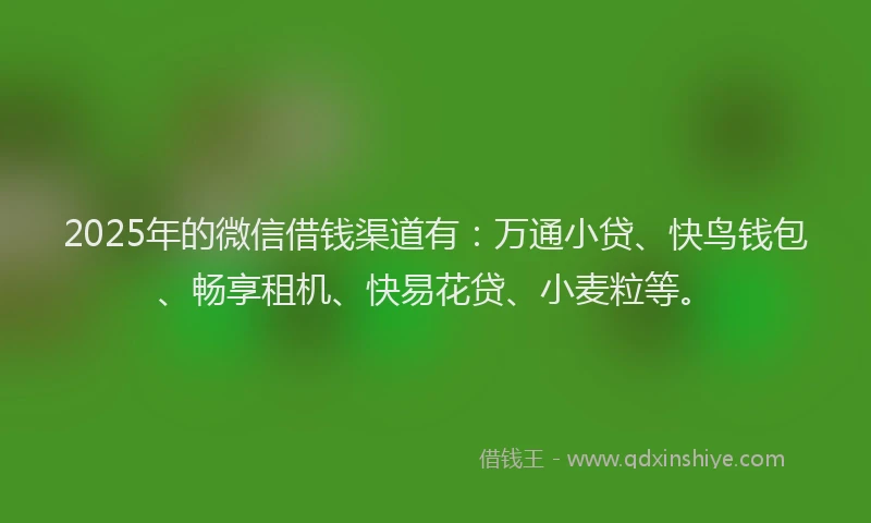 2025年的微信借钱渠道有：万通小贷、快鸟钱包、畅享租机、快易花贷、小麦粒等。