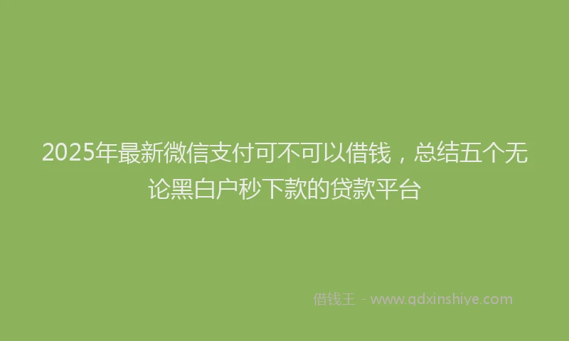 2025年最新微信支付可不可以借钱，总结五个无论黑白户秒下款的贷款平台