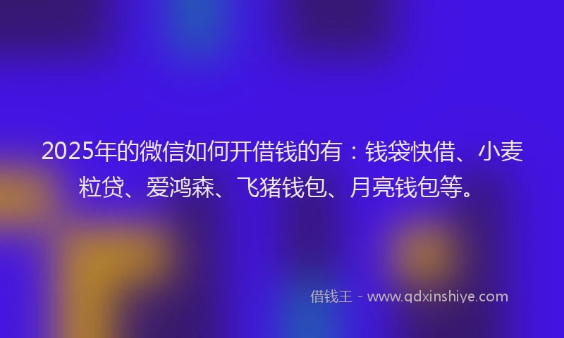2025年的微信如何开借钱的有：钱袋快借、小麦粒贷、爱鸿森、飞猪钱包、月亮钱包等。