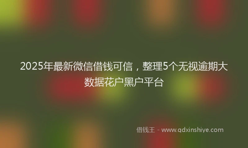 2025年最新微信借钱可信，整理5个无视逾期大数据花户黑户平台