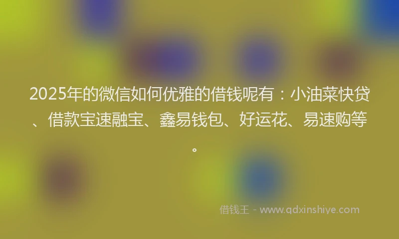 2025年的微信如何优雅的借钱呢有：小油菜快贷、借款宝速融宝、鑫易钱包、好运花、易速购等。