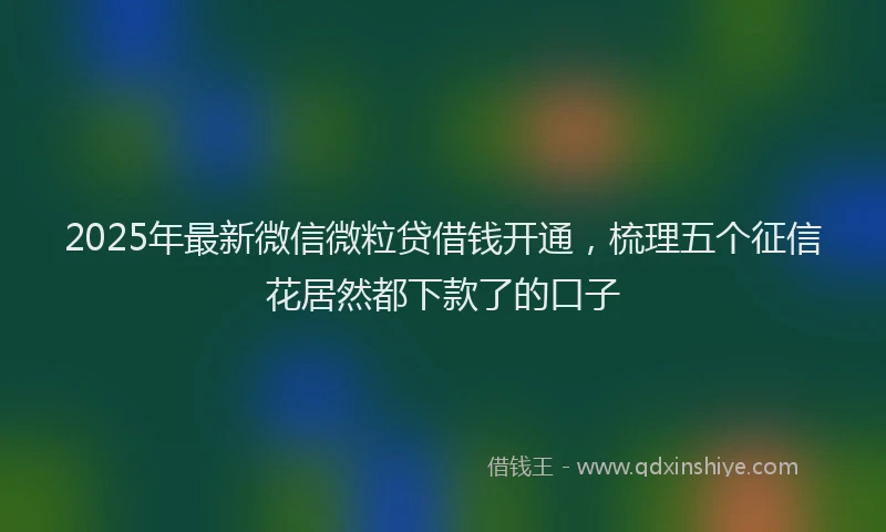 2025年最新微信微粒贷借钱开通，梳理五个征信花居然都下款了的口子