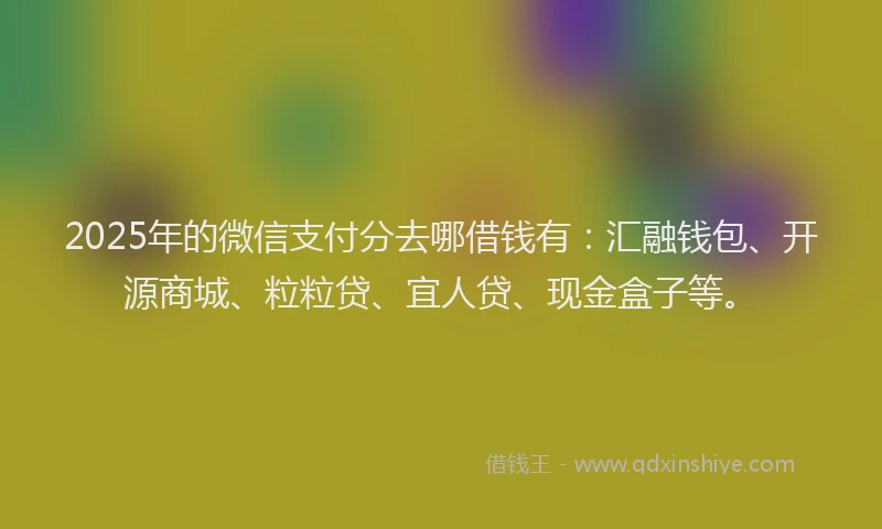 2025年的微信支付分去哪借钱有：汇融钱包、开源商城、粒粒贷、宜人贷、现金盒子等。
