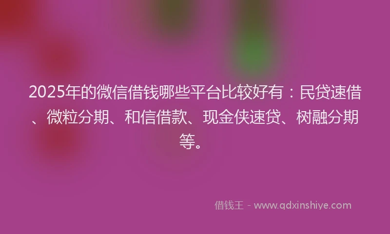 2025年的微信借钱哪些平台比较好有：民贷速借、微粒分期、和信借款、现金侠速贷、树融分期等。