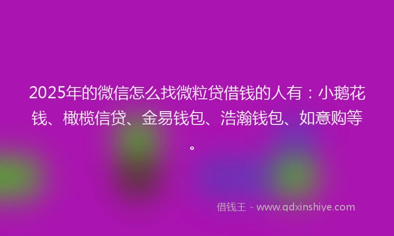 2025年的微信怎么找微粒贷借钱的人有：小鹅花钱、橄榄信贷、金易钱包、浩瀚钱包、如意购等。