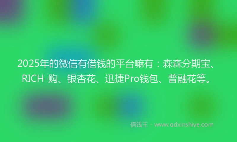 2025年的微信有借钱的平台嘛有：森森分期宝、RICH-购、银杏花、迅捷Pro钱包、普融花等。