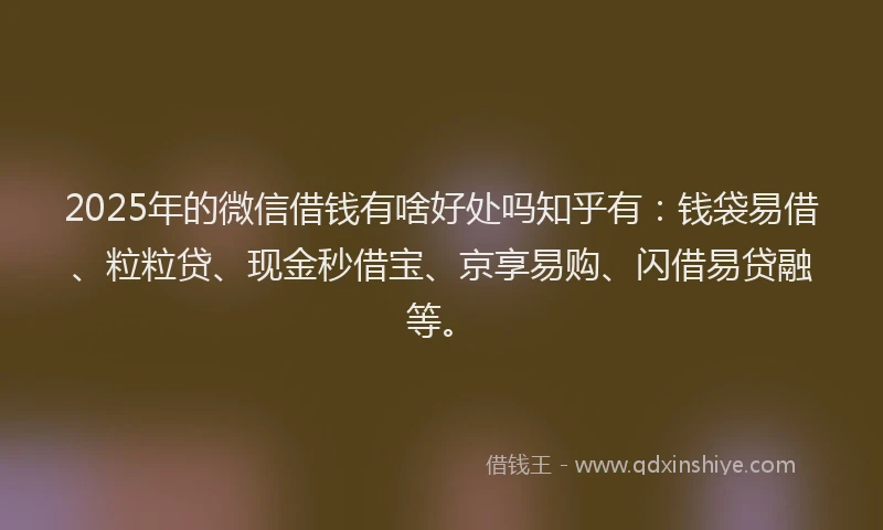 2025年的微信借钱有啥好处吗知乎有：钱袋易借、粒粒贷、现金秒借宝、京享易购、闪借易贷融等。