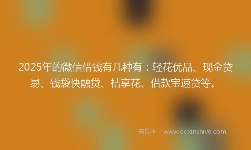 2025年的微信借钱有几种有：轻花优品、现金贷易、钱袋快融贷、桔享花、借款宝速贷等。