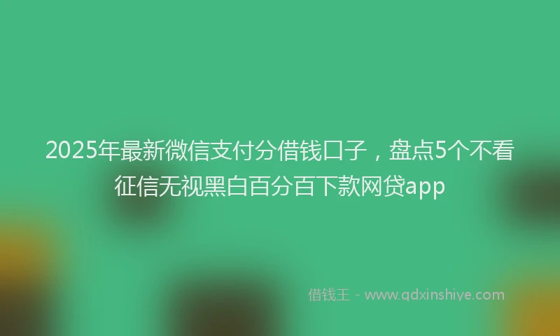 2025年最新微信支付分借钱口子，盘点5个不看征信无视黑白百分百下款网贷app