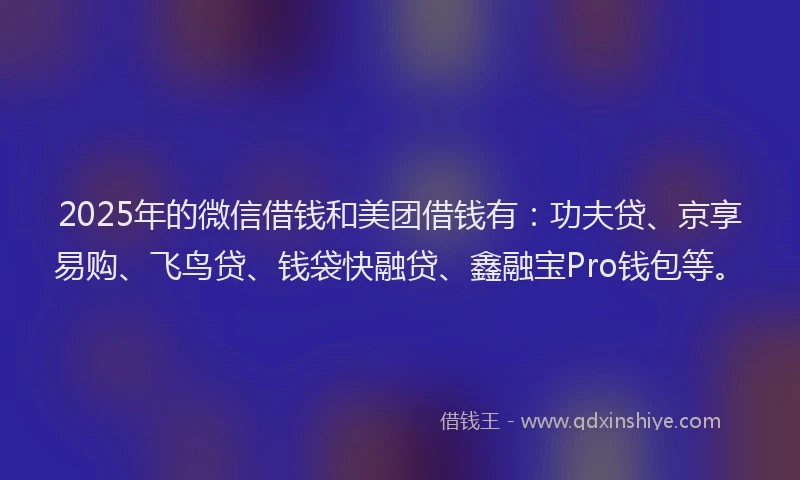 2025年的微信借钱和美团借钱有：功夫贷、京享易购、飞鸟贷、钱袋快融贷、鑫融宝Pro钱包等。