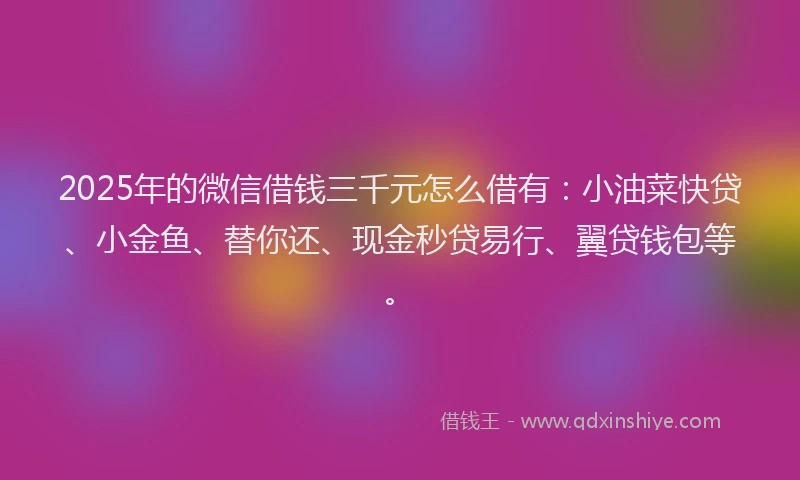 2025年的微信借钱三千元怎么借有：小油菜快贷、小金鱼、替你还、现金秒贷易行、翼贷钱包等。