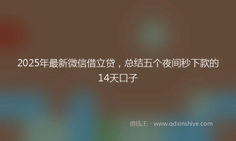 2025年最新微信借立贷，总结五个夜间秒下款的14天口子