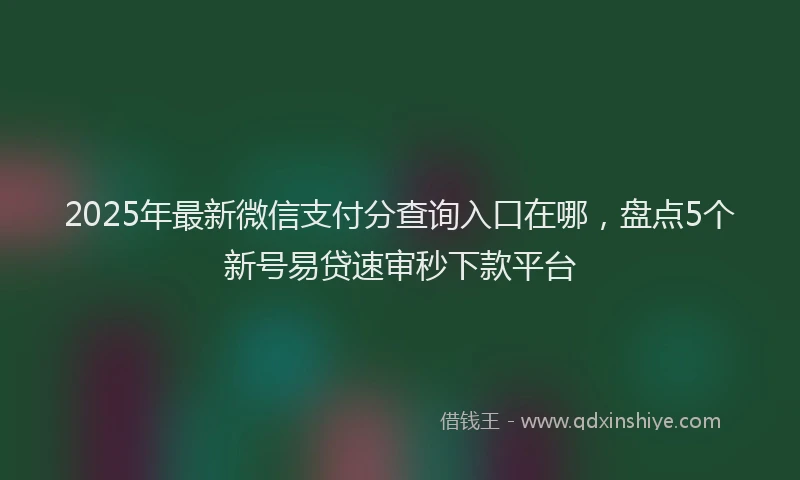 2025年最新微信支付分查询入口在哪，盘点5个新号易贷速审秒下款平台