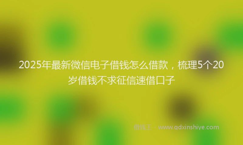 2025年最新微信电子借钱怎么借款，梳理5个20岁借钱不求征信速借口子