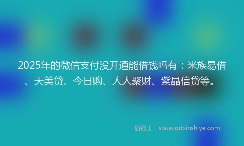 2025年的微信支付没开通能借钱吗有：米族易借、天美贷、今日购、人人聚财、紫晶信贷等。