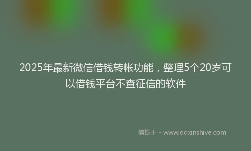 2025年最新微信借钱转帐功能，整理5个20岁可以借钱平台不查征信的软件